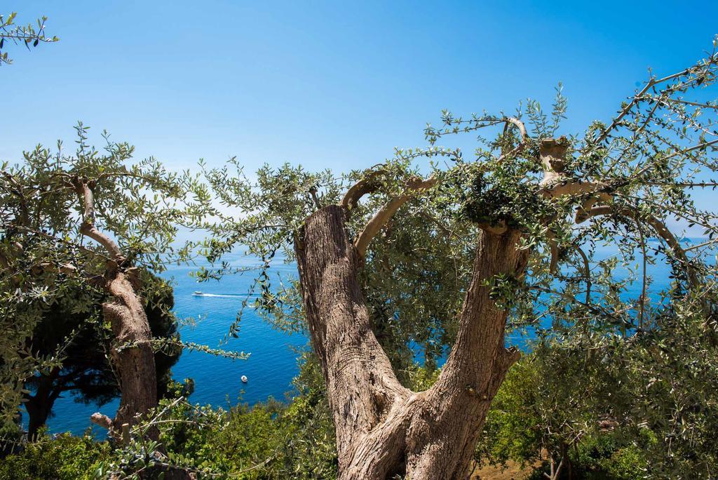 Villa De Rosa بوسيتانو المظهر الخارجي الصورة